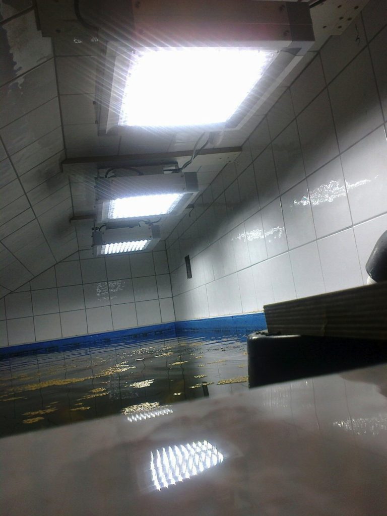 LED-lys oppdrett